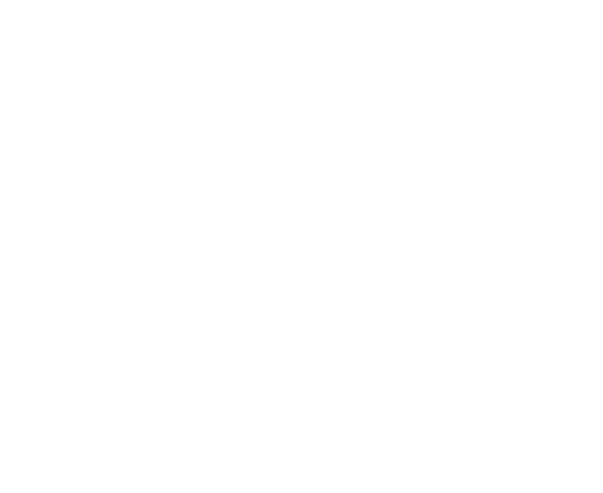 CARBON GOELAND
